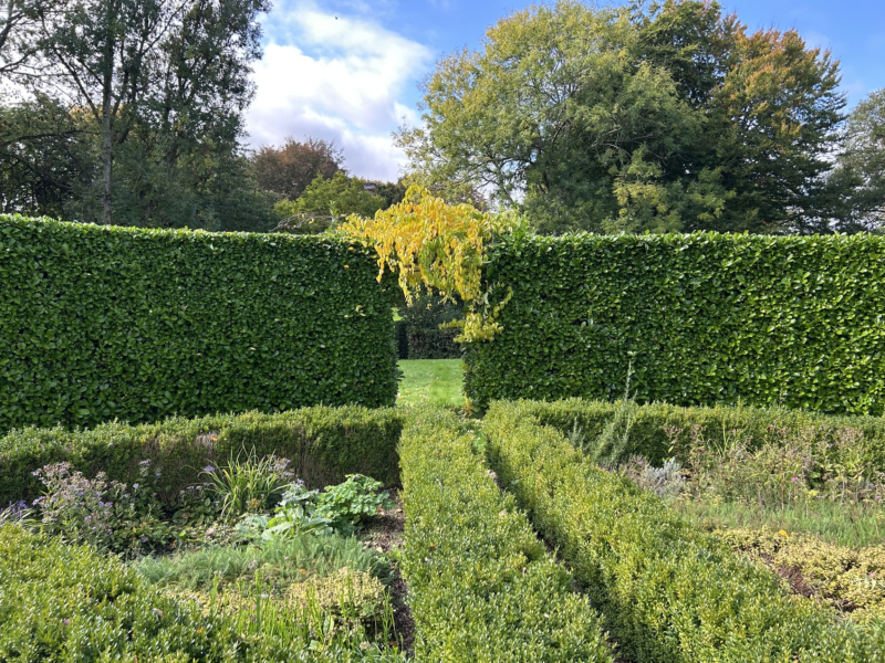 Formal Hedge Trimmed in Shaftesbury
