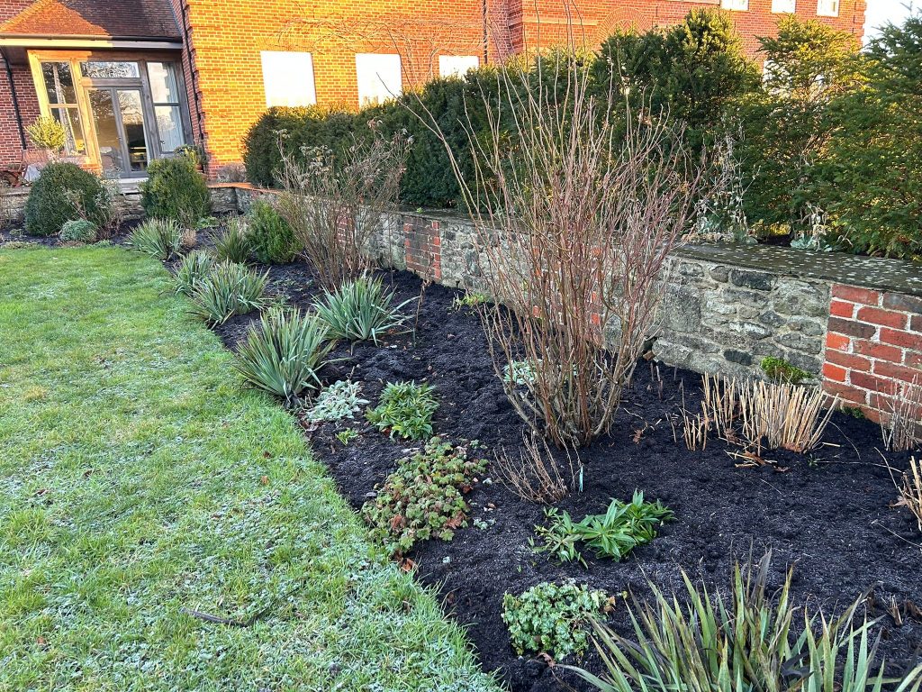 Pruning shrubs and perennials ready for spring flowers