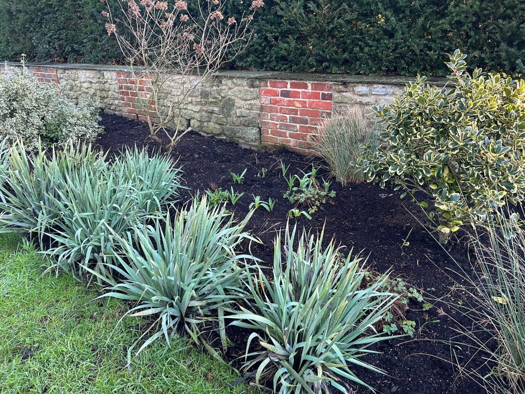 Weeding garden beds
