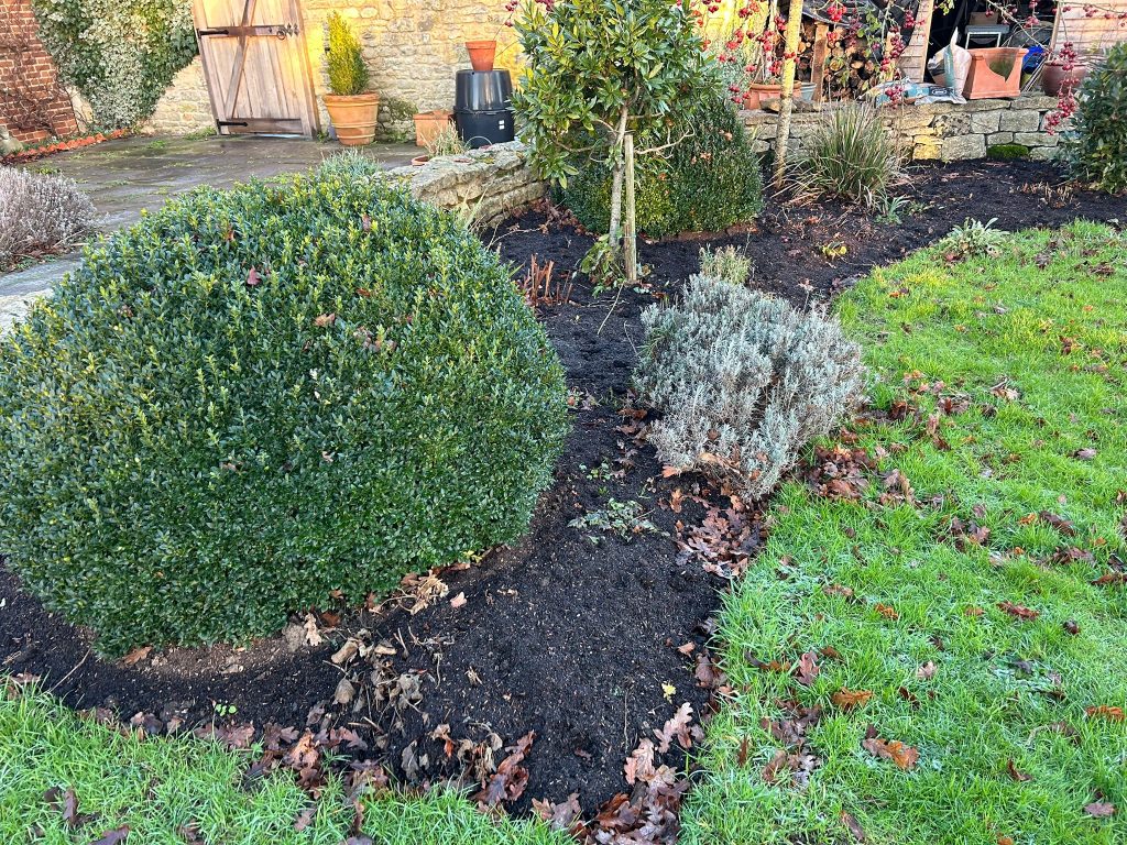 Pruning Shrubs in Garden Border