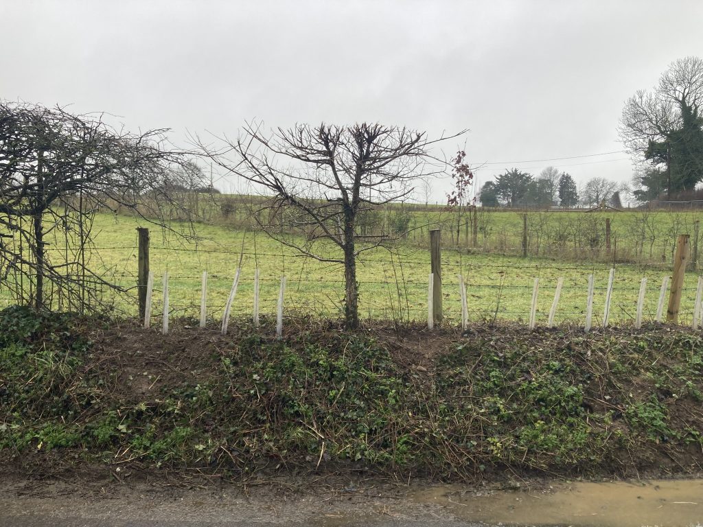 Hedge gap filling and gardening