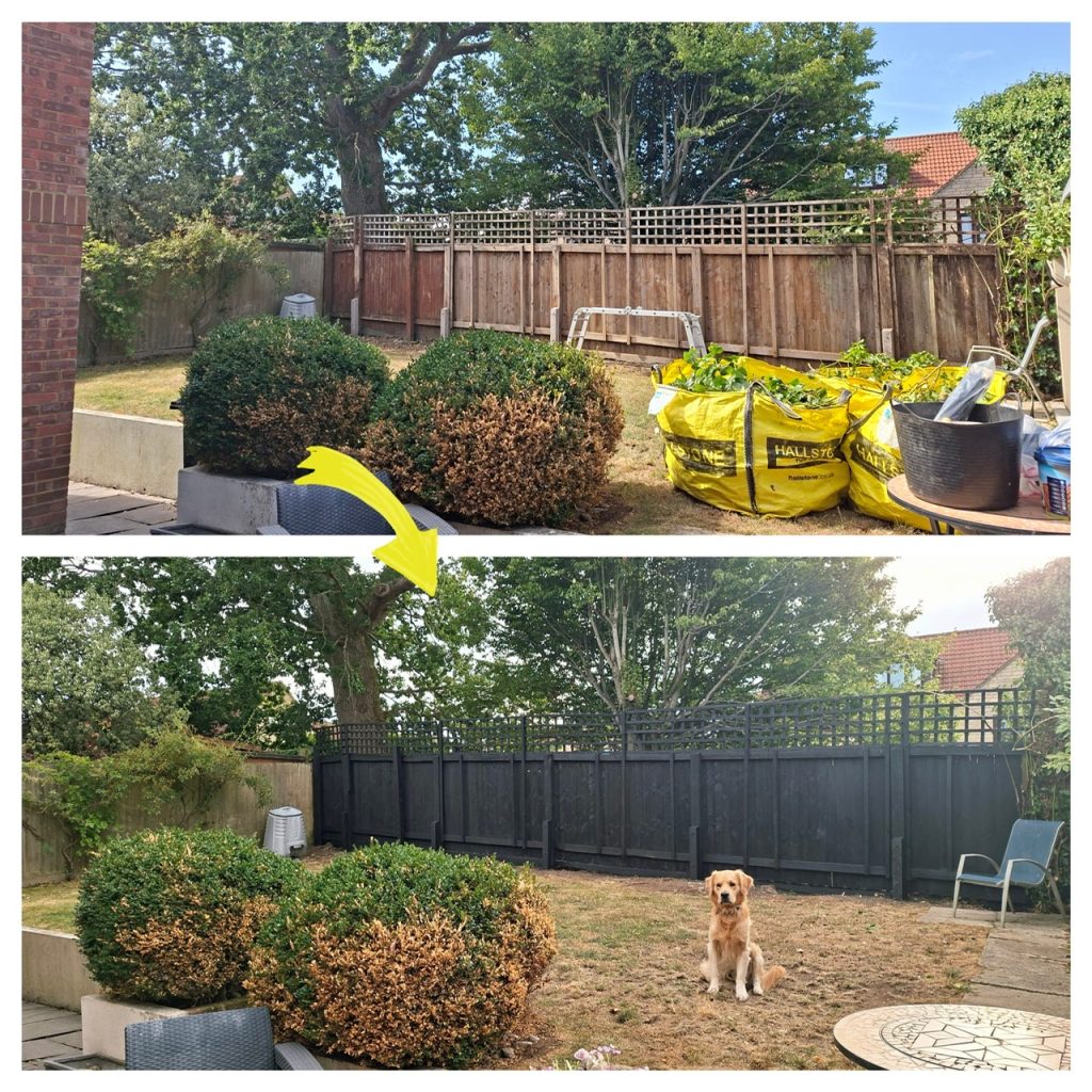 Before and after photo of a painted fence in a garden in Motcombe