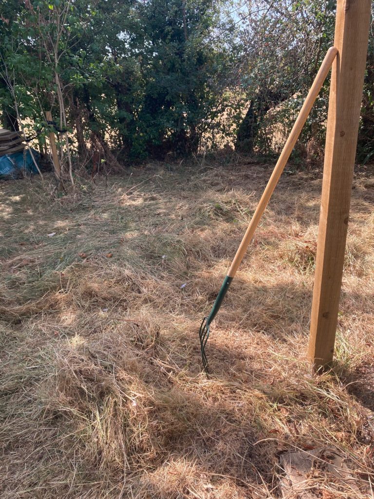 picking up the grass with a pitch fork