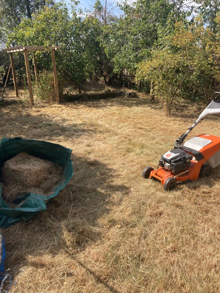 mowing the garden after the epic strimming