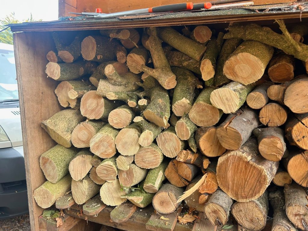 Wood processed into logs
