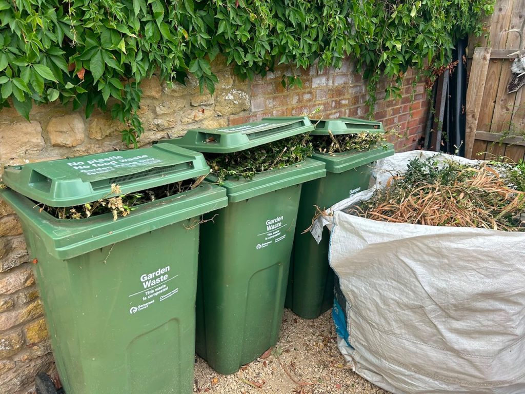 debris of shrub cleared into garden waste bins